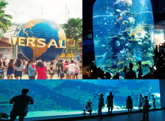 Singapore Universal Studio Singapore + S.E.A Aquarium 1 collage_fotor