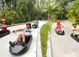 Luge and Skyride